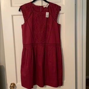 Loft burgundy dress -small